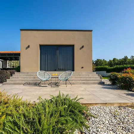 Lukas Markovici Vižinada