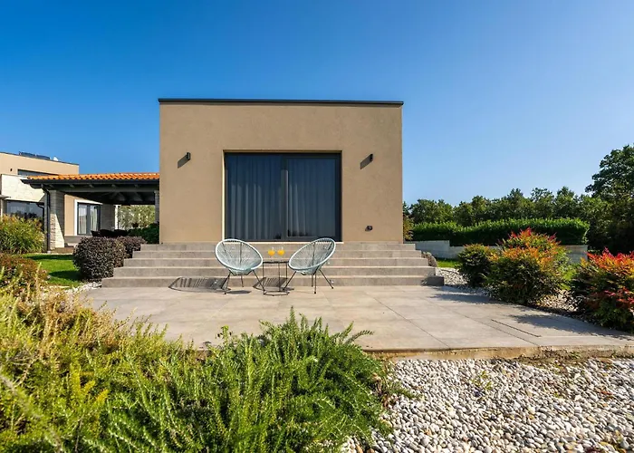 Lukas Markovici Vižinada