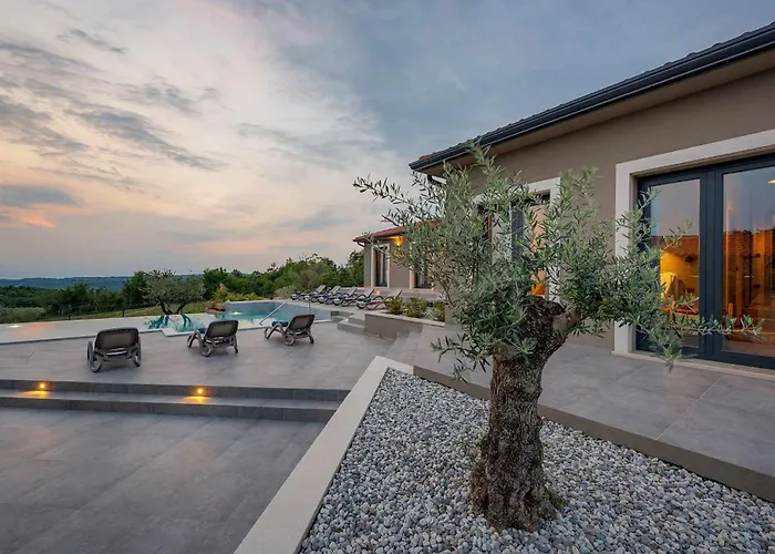 Lukas Markovici 비지나다